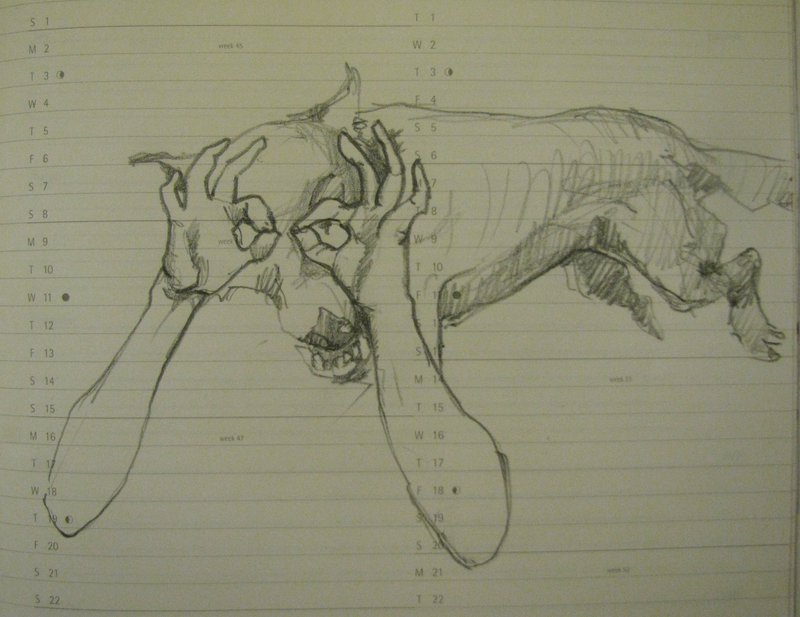Hund, Hände, Durchblick