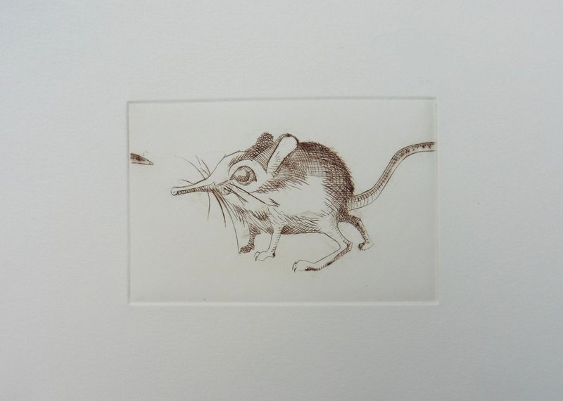 Kleine Ratte als Kupferstich
